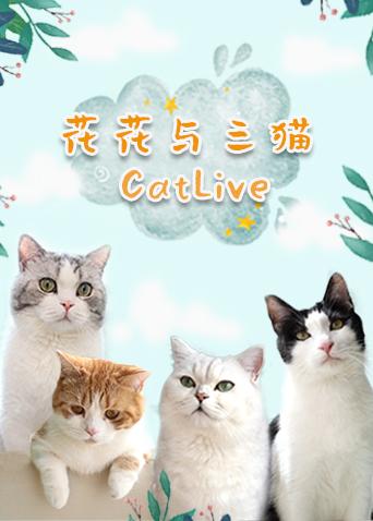 花花与三猫catlive 20190704期